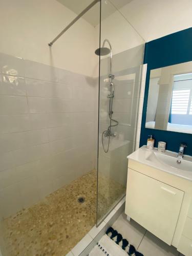 ein Bad mit einer Dusche und einem Waschbecken in der Unterkunft Appartement cosy à Grand Case, proche aéroport. in Grand Case