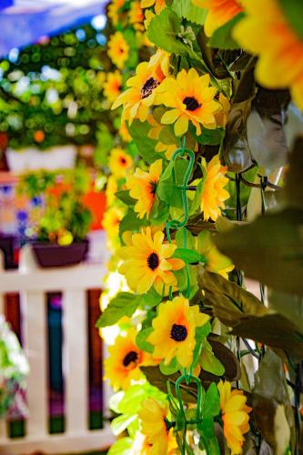 a bunch of yellow flowers on a plant at Eden Lilli B&B in La Pieve