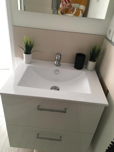 - un lavabo blanc dans la salle de bains avec deux plantes en pot dans l'établissement La Terrasse du golf, à Pornic