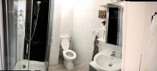 La salle de bains est pourvue de toilettes, d'un lavabo et d'une douche. dans l'établissement Benvenuto Apartman, à Budapest