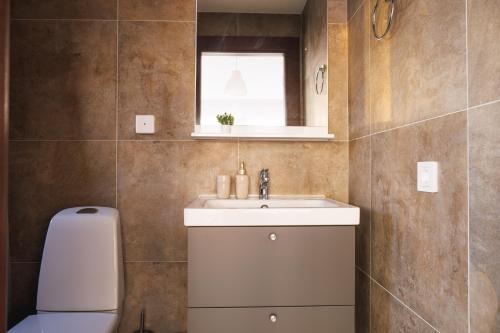 a bathroom with a sink and a toilet and a window at Horizont Dedine in Golubac
