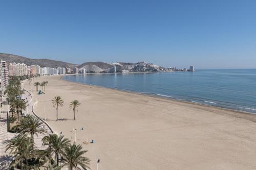 Frontalmar, Esc-A, 8º-29