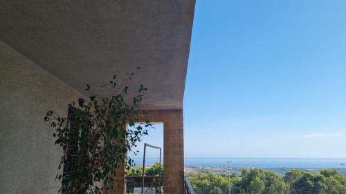 a building with a window with a plant at Alice e la sua casa in Agrigento