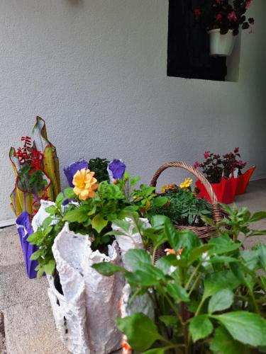 Afbeelding uit fotogalerij van Ravne Konak in Visoko