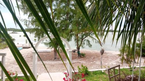 una palmera con vistas a la playa en 5 Bay's of Pirates Bahamas Great Harbour Cay, Bahamas, en Bullocks Harbour