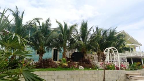 a house with palm trees in front of it at 5 Bay's of Pirates Bahamas Great Harbour Cay, Bahamas in Bullocks Harbour