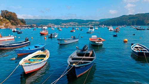 um grupo de barcos em uma massa de água em Precioso estudio en Cedeira. em Cedeira