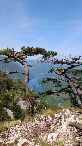 Paisaje cerca de este apartamento