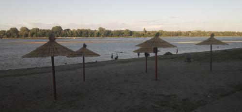 a group of umbrellas on a beach near the water at Smokvica in Stari Slankamen