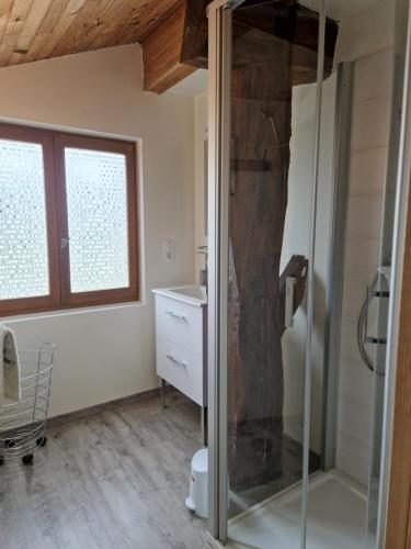 łazienka z prysznicem i umywalką w obiekcie Loft ravissant avec parking gratuit sur place w mieście Lédat