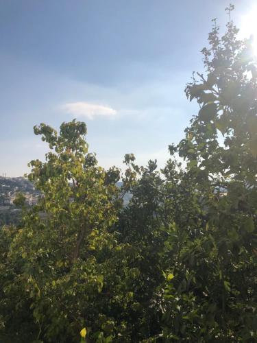Φυσικό τοπίο κοντά σε αυτός ο ξενώνας