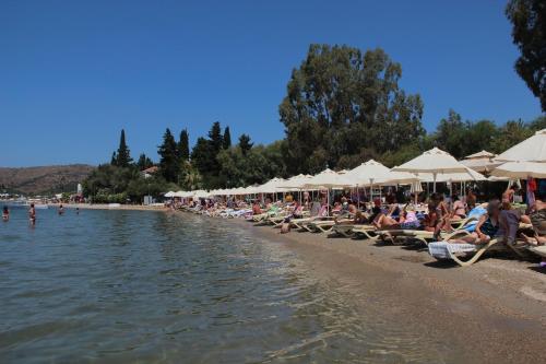 a group of people sitting on a beach with umbrellas at Manuela Boutique Hotel Bitez in Bitez