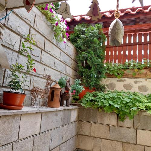Κήπος έξω από το Guest House Planinski Zdravets