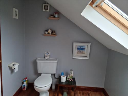 a bathroom with a toilet and a skylight at Cute loft apartment sleeps 4 in Antrim