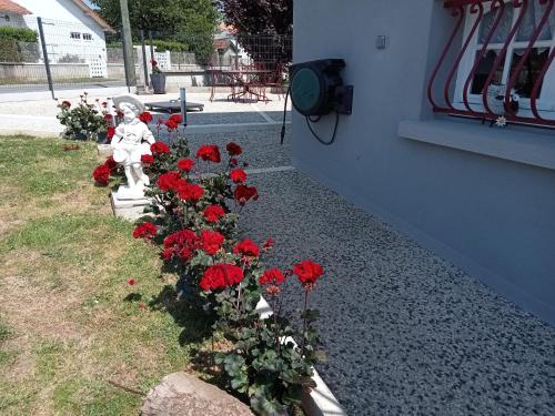 a flower garden with red roses next to a building at Chambre privative avec salle d'eau in Chasseneuil