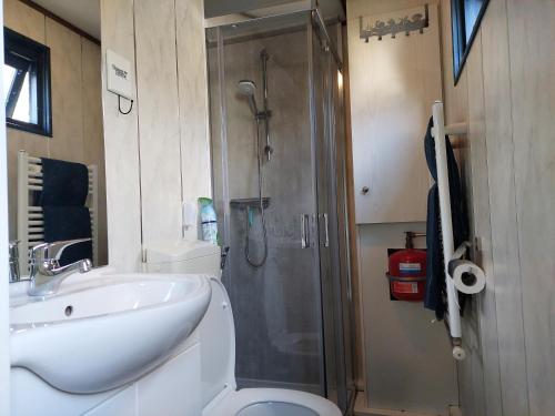 a bathroom with a shower and a sink and a toilet at Chalet Bosrust in Wolfheze