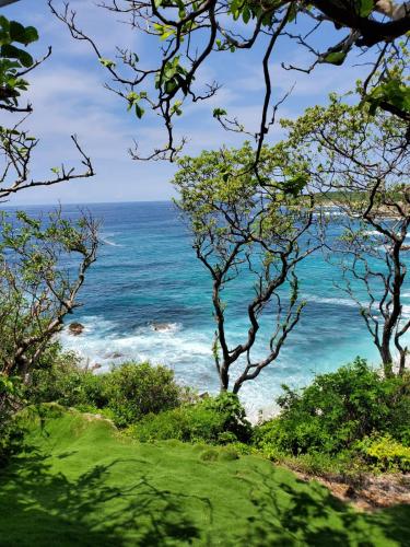 a view of the ocean through the trees at Hotel Bendita Luna Salchi in Cuatunalco