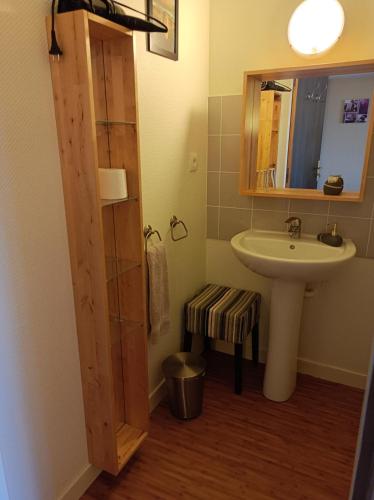 une salle de bain avec un lavabo et un miroir dans l'établissement Les Pierres Folles, à Rozier-en-Donzy