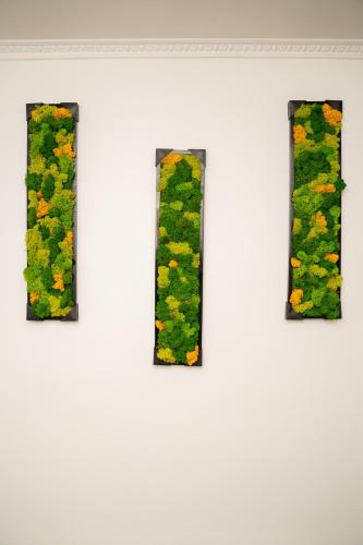 a group of four pictures on a wall with plants at Apartament Panoramic la casa in comuna Rasinari in Răşinari