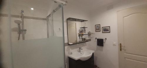 une salle de bain blanche avec un lavabo et un miroir dans l'établissement Pavillon de Diane, Le Malesherbois, à Gollainville