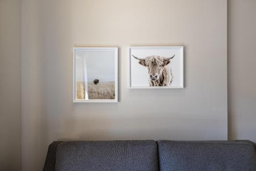two pictures of a cow on a wall at Alpen Dorf Pension in Leavenworth
