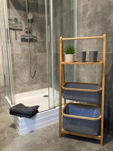 a bathroom with a shower with a blue towel on a shelf at Haus Waldblick in Hopfgarten in Defereggen