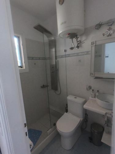 La salle de bains est pourvue d'une douche, de toilettes et d'un lavabo. dans l'établissement Thalia Apartment, à Piso Livadi