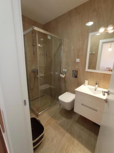 een badkamer met een douche, een toilet en een wastafel bij Lovely one bedroom apartment in Dobra Voda in Dobra Voda