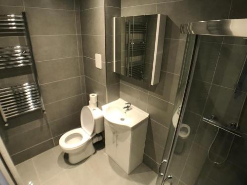 La salle de bains est pourvue de toilettes, d'un lavabo et d'une douche. dans l'établissement City Sparrow Pad 6, à Londres