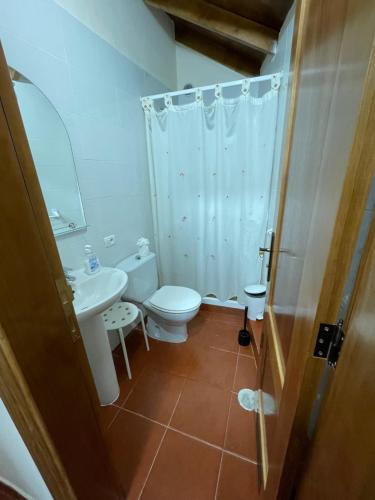 ein Bad mit einem WC, einem Waschbecken und einer Dusche in der Unterkunft Casa Camino Los Chorros in Vallehermoso