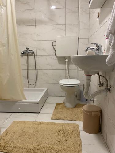 uma casa de banho com um lavatório, um WC e um chuveiro em DREAM APARTMENTS em Surčin