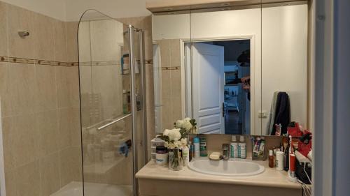 a bathroom with a sink and a shower at Appartement lumineux Seine, île St-Germain, proche Porte de Versailles et la Défense in Issy-les-Moulineaux