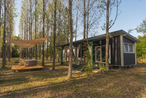a tiny house in the woods with a hammock at Drina River Glamping in Loznica