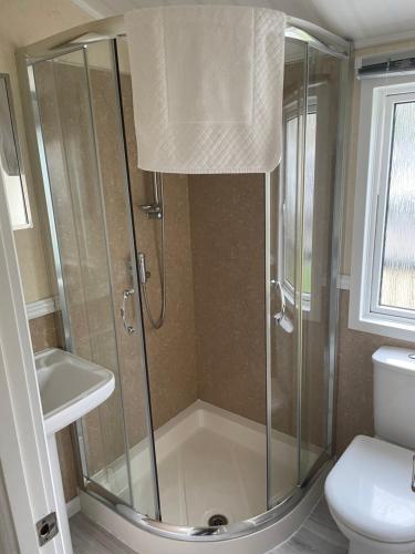 uma casa de banho com um chuveiro e um WC. em Labernum Lodge - Springhouse Country Park em Slaley