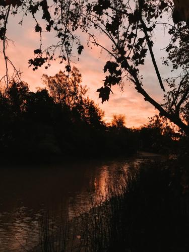 a sunset over a body of water at Casa Chichipio in Tigre