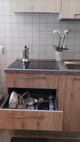 encimera de cocina con fregadero y fregadero en Riccadonna house Residenza Jolly, en Comano Terme