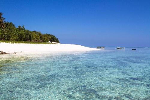 a beach with clear blue water and trees on it at Tropic Tree Maldives in Gulhi