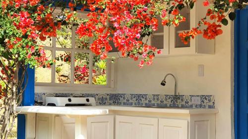 eine Küche mit roten Blumen, die vom Fenster hängen in der Unterkunft El Oteo Tiny house. in Villa de Leyva