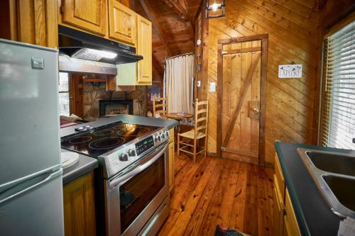 Gatlinburg Area Hottub Cabin - Ladyslipper photo 21