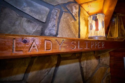 Gatlinburg Area Hottub Cabin - Ladyslipper photo 23