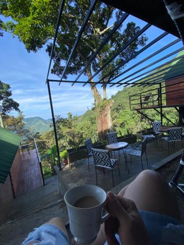 a person holding a cup of coffee with a view at Hostal Ana in Santa Marta