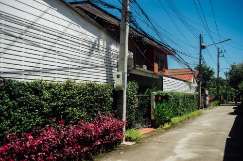 una calle vacía al lado de un edificio con flores rosas en Nu Phen Homestay, en Chiang Mai