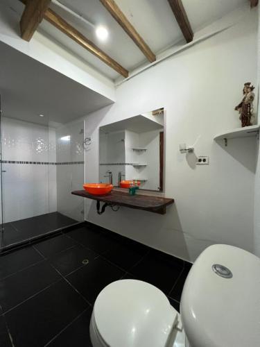 a bathroom with a white toilet and a mirror at Finca en Doradal ( Hacienda Napoles y Rio Claro ) in Doradal