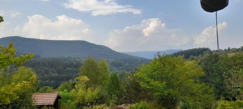 Blick auf ein Tal mit Bäumen und Bergen in der Unterkunft Le petit paradis de Sylvala in Bourg-Bruche