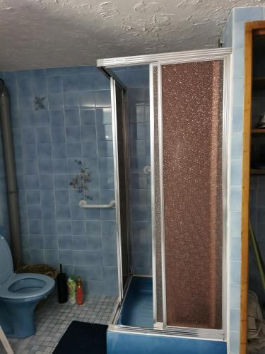 een badkamer met een douche en een toilet. bij La Maison d'Yvonne in La Bouille