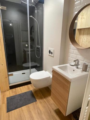 ein Bad mit einem WC, einem Waschbecken und einer Dusche in der Unterkunft Lovely Home 1, with private terrace and Whirlpool,4-6 pers in Büllingen