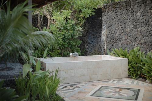 Κήπος έξω από το Secret Moon Beach House
