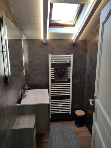 a bathroom with a sink and a skylight at LE CHALET DES THERMES in Nancy