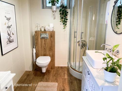 a bathroom with a toilet and a shower and a sink at Apartamenty 72 - Agroturystyka in Wola Pękoszewska