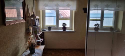 a hallway with three windows with potted plants on them at APARTMA ŽELE in Postojna